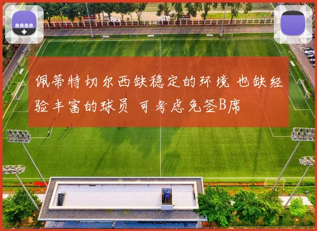 佩蒂特切尔西缺稳定的环境 也缺经验丰富的球员 可考虑免签B席